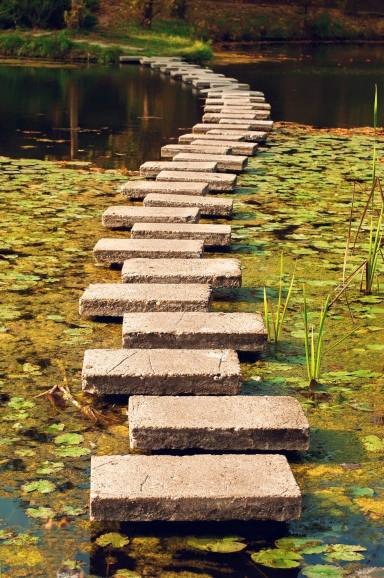 Path in lake